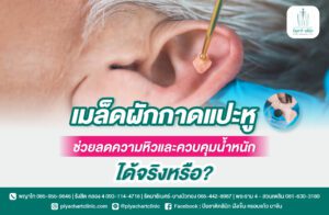 เมล็ดผักกาดแปะหูช่วยลดความหิวและควบคุมน้ำหนักได้จริงหรือ?