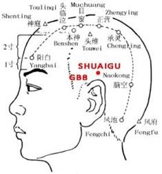 จุดฝังเข็มแก้ไมเกรน ซ่วยกู่ (GB8)
จุดบนเส้นลมปราณถุงน้ำดีบริเวณด้านข้างศีรษะ ซึ่งเป็นตำแหน่งที่สัมพันธ์กับอาการปวดไมเกรนโดยตรง โดยเฉพาะอาการปวดบริเวณขมับหรือปวดศีรษะด้านข้าง