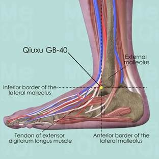 จุดฝังเข็มแก้ไมเกรน ชิวซวี (GB40)
จุดสำคัญของเส้นถุงน้ำดีบริเวณตาตุ่มด้านนอก แม้จะอยู่ไกลจากศีรษะ แต่มีบทบาทเป็นอย่างมากในการปรับสมดุลเส้นลมปราณถุงน้ำดี ซึ่งเกี่ยวข้องกับอาการปวดศีรษะด้านข้างและอาการเวียนศีรษะ ในแพทย์แผนจีน จุดปลายแขนขามักถูกใช้เพื่อ “ดึงพลังลง” และช่วยให้การไหลเวียนของชี่ดีขึ้น